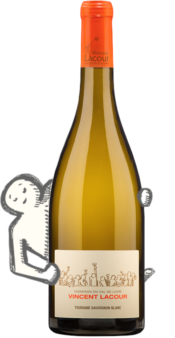 Le sauvignon Blanc du Domaine Lacour